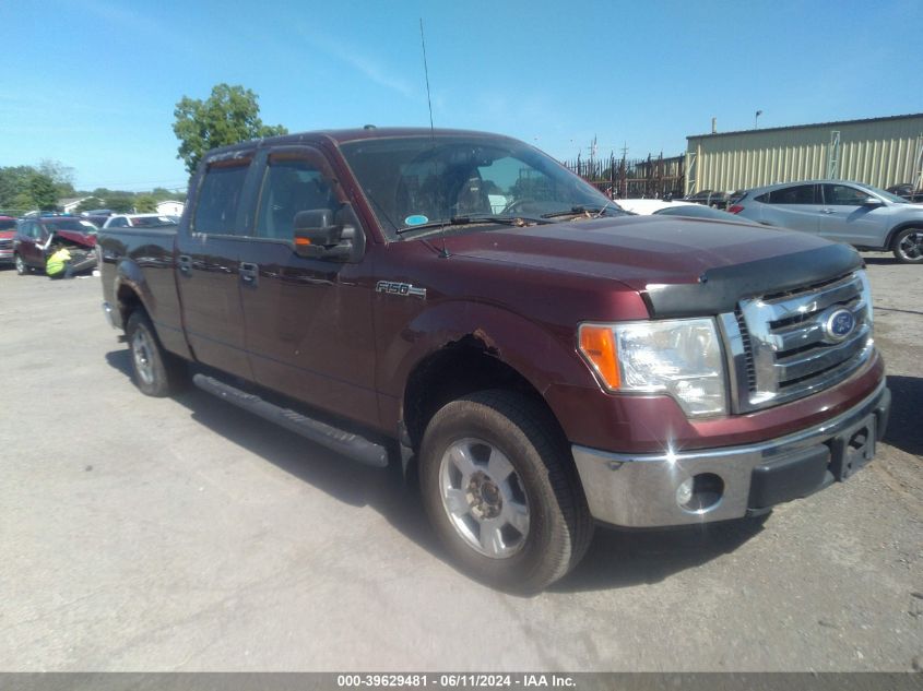 2010 FORD F-150 XLT