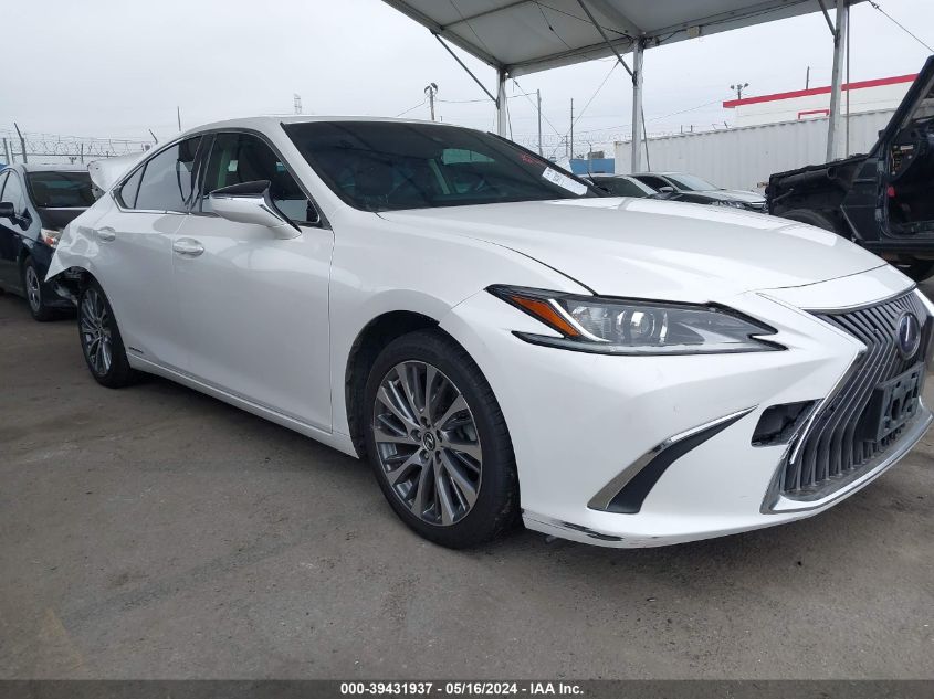 2019 LEXUS ES 300H