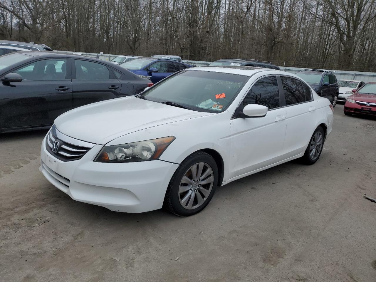 2011 HONDA ACCORD EXL