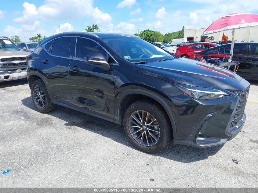 2024 LEXUS NX 250