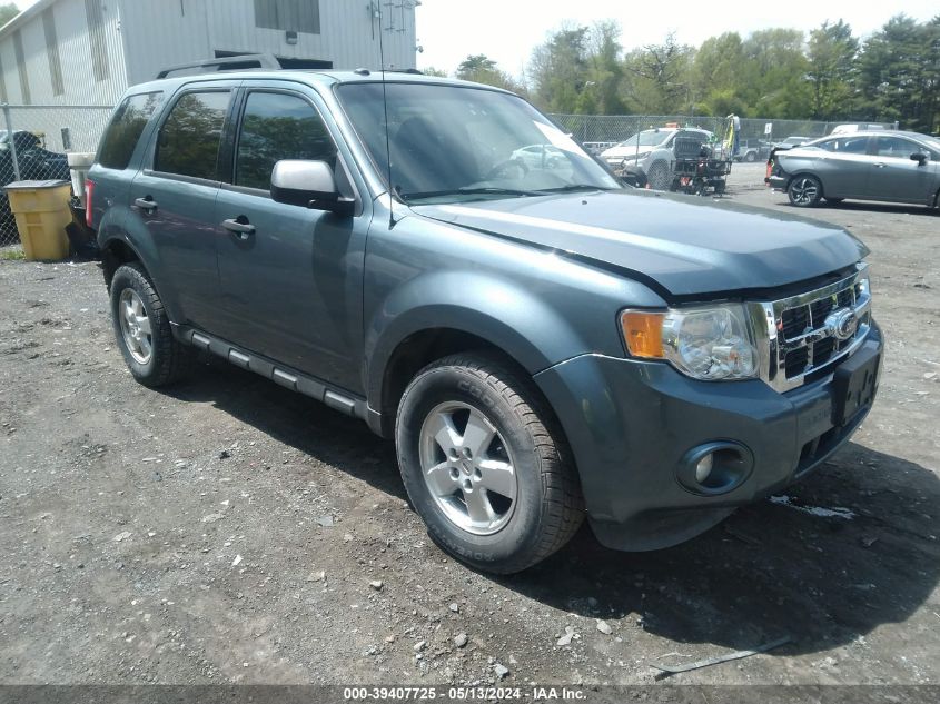 2012 FORD ESCAPE XLT