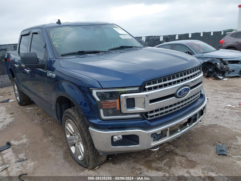 2019 FORD F-150 XLT