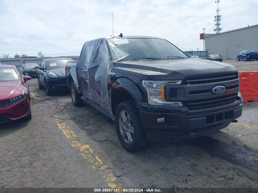 2019 FORD F-150 XLT