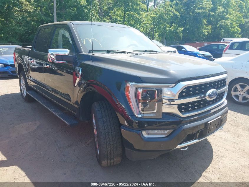 2023 FORD F-150 PLATINUM