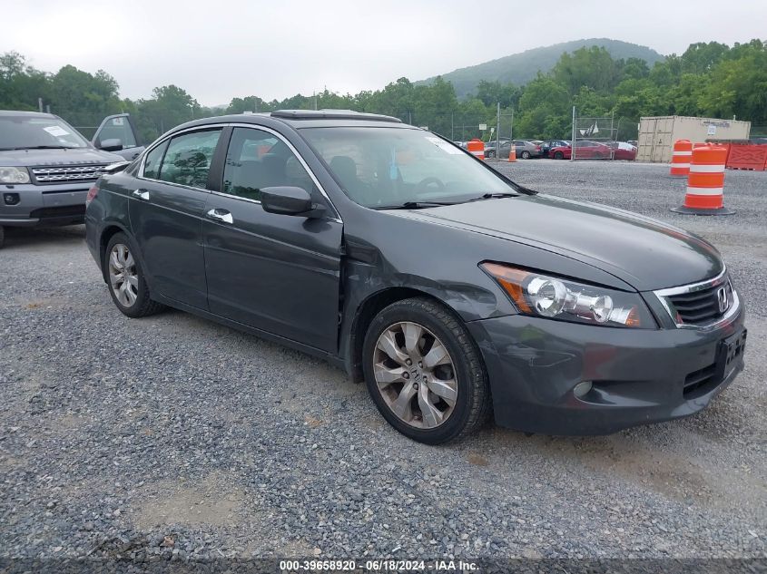 2010 HONDA ACCORD 3.5 EX-L