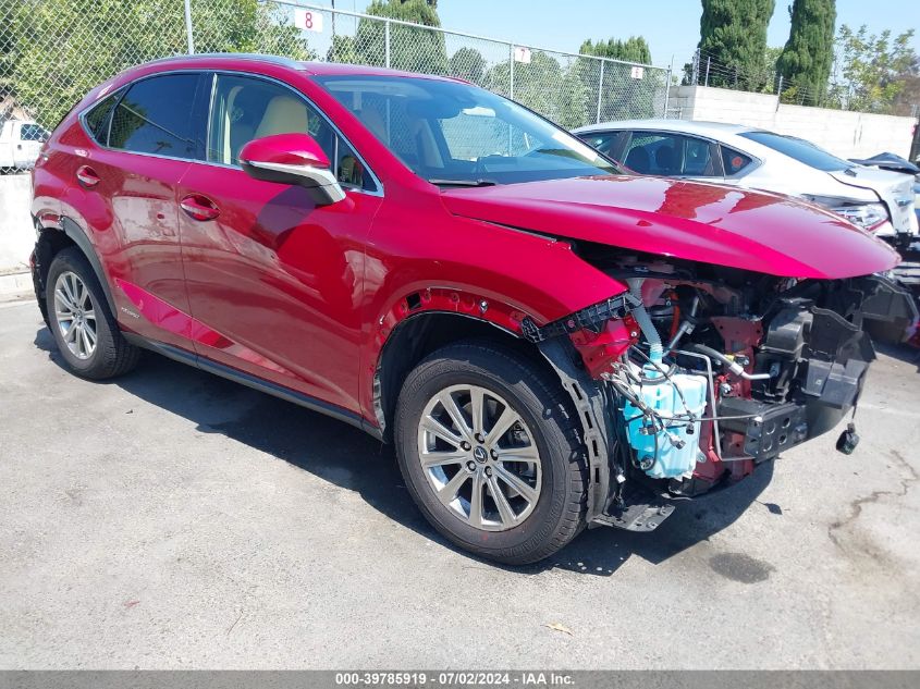 2021 LEXUS NX 300H