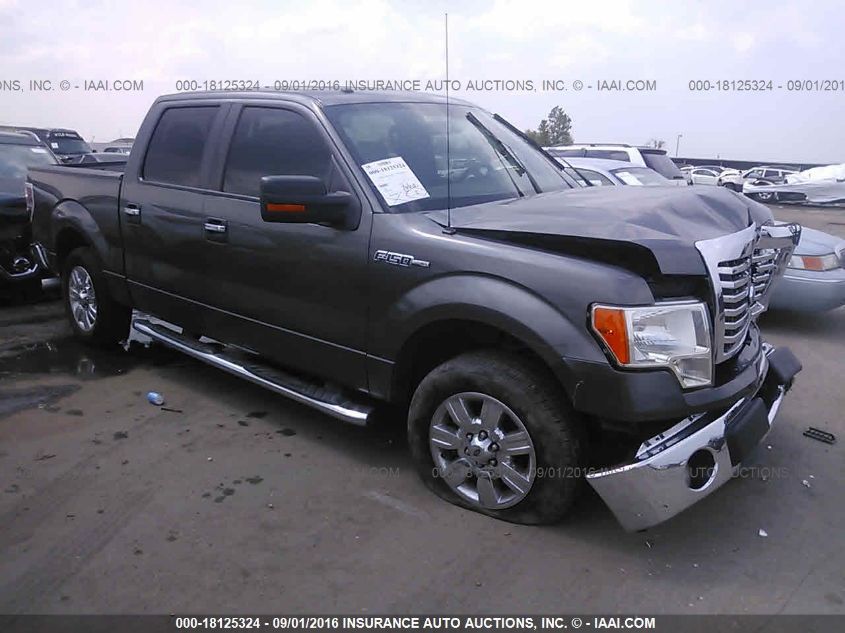 2012 FORD F-150 XLT