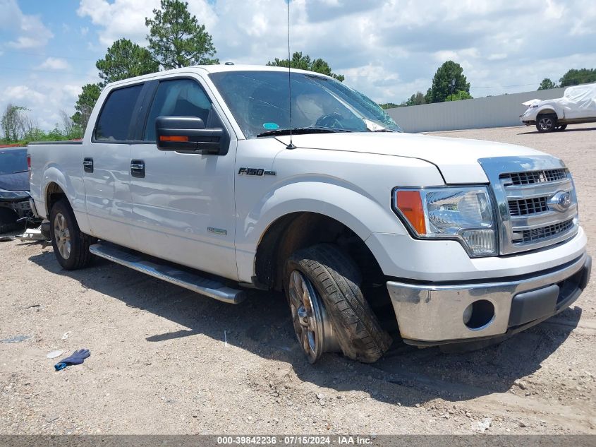 2014 FORD F-150 XLT