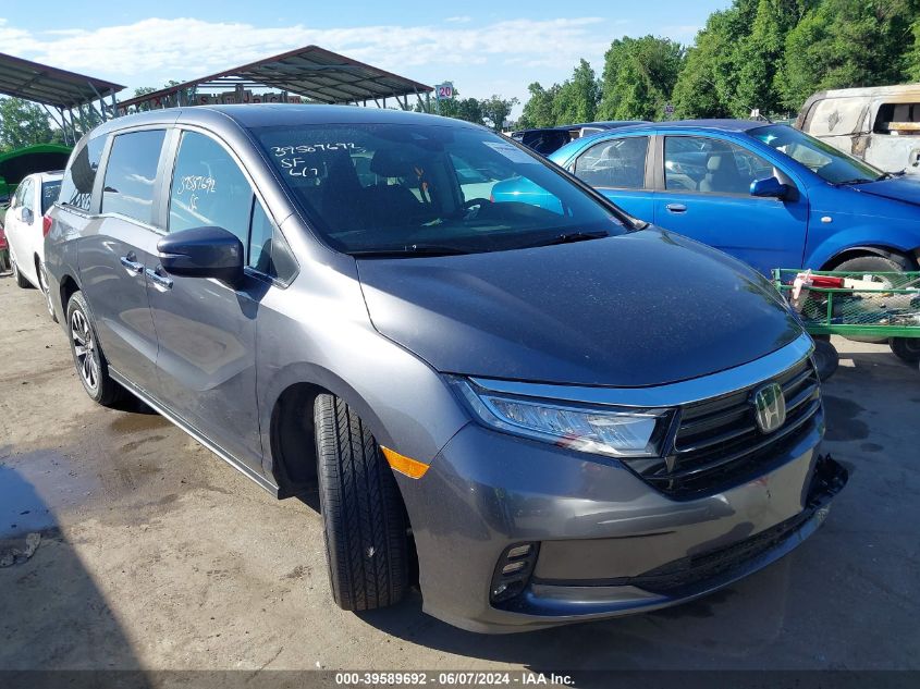 2024 HONDA ODYSSEY EX-L