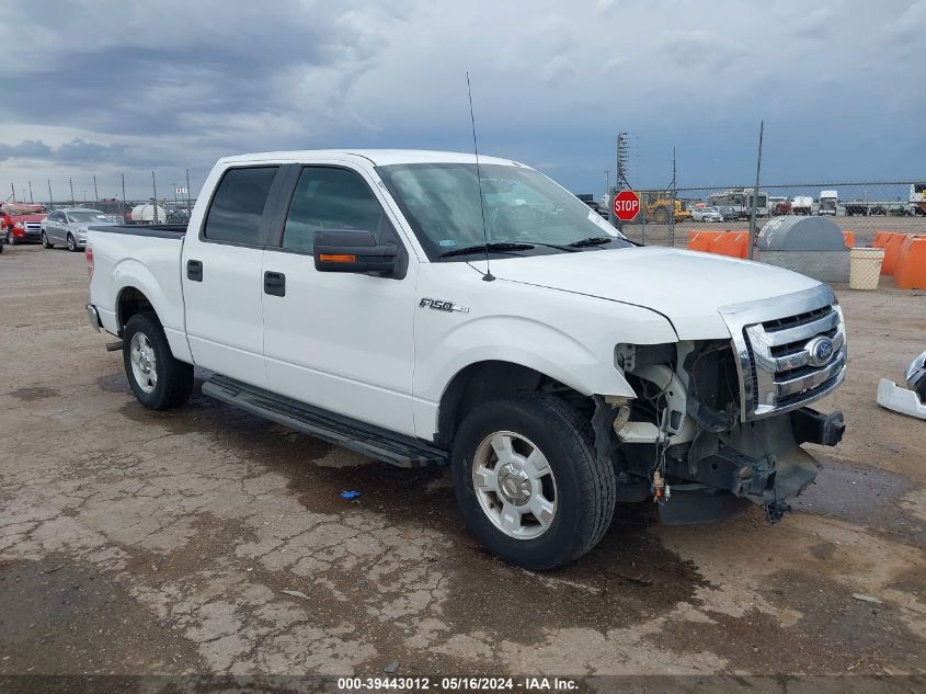 2011 FORD F-150 XLT