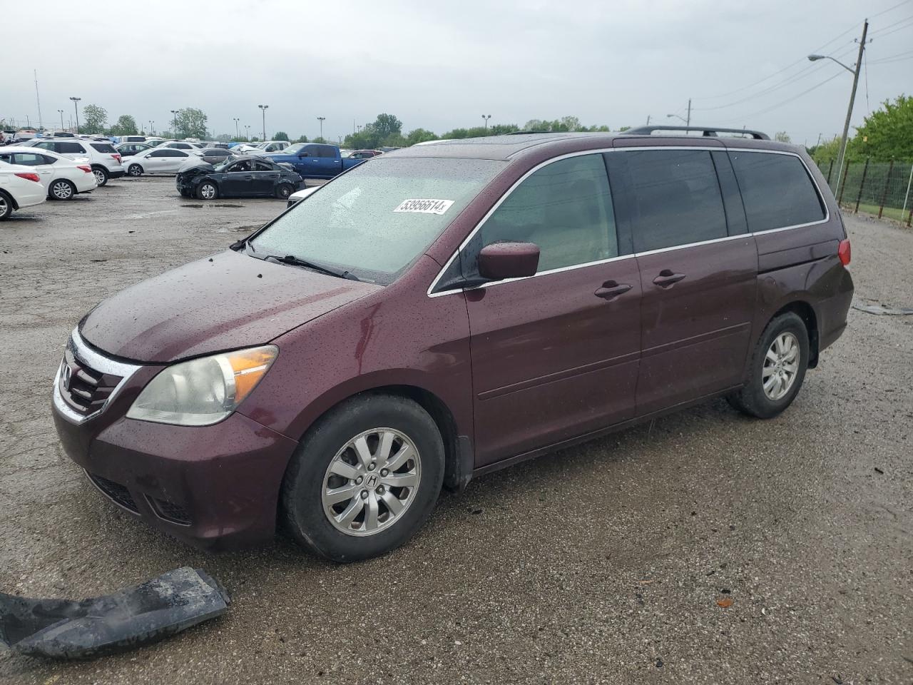 2010 HONDA ODYSSEY EXL