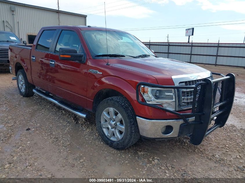 2014 FORD F-150 XLT