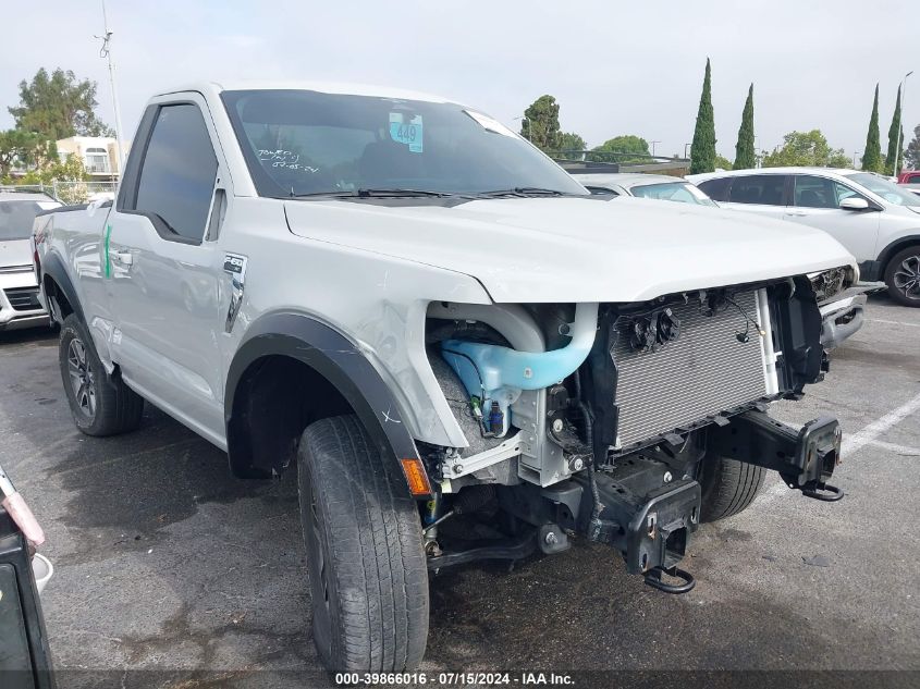 2023 FORD F150