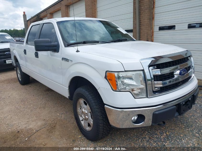 2014 FORD F-150 XLT