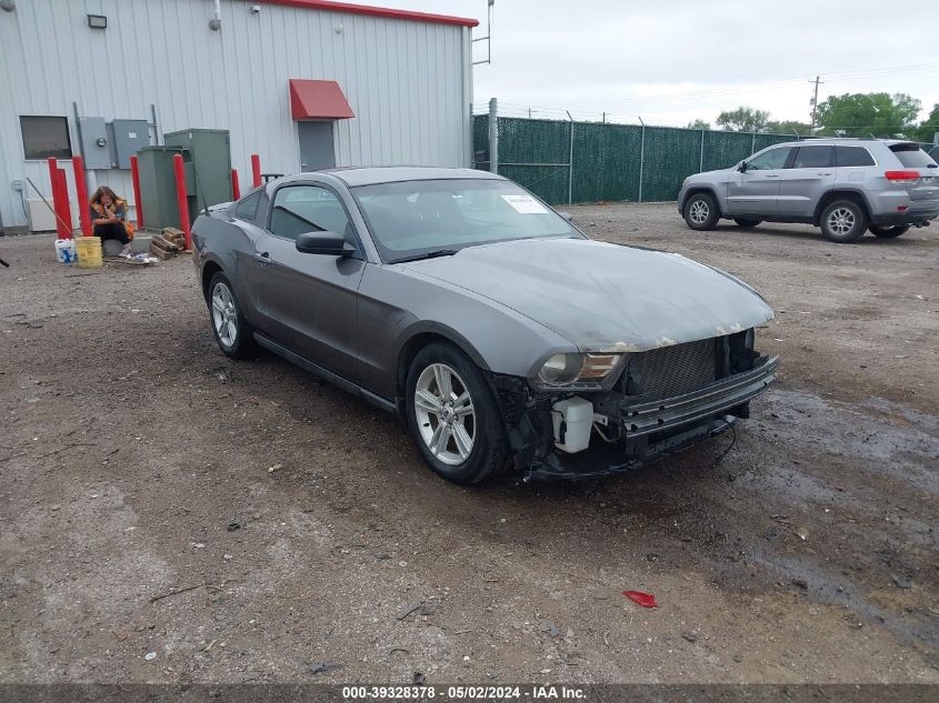 2010 FORD MUSTANG V6/V6 PREMIUM