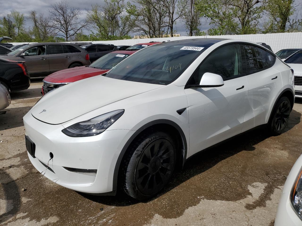 2021 TESLA MODEL Y