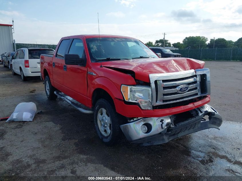 2011 FORD F-150 XLT