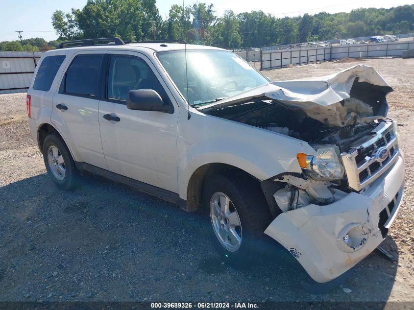 2011 FORD ESCAPE XLT