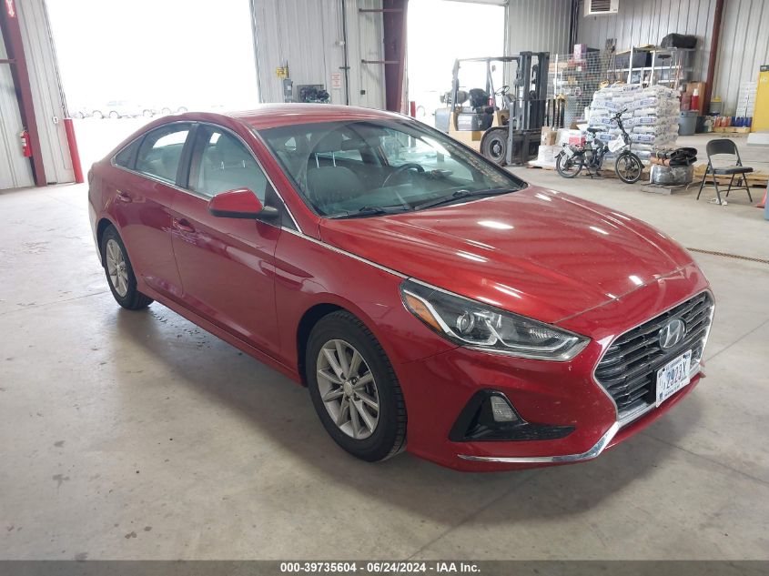 2019 HYUNDAI SONATA ECO