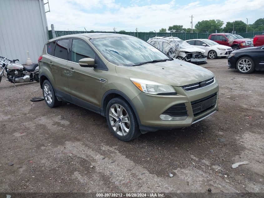 2013 FORD ESCAPE SEL