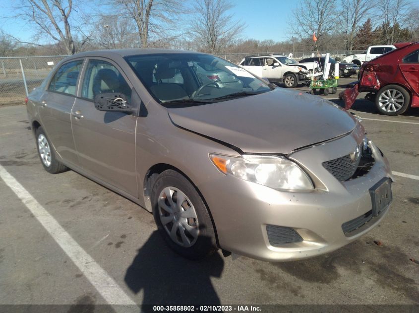 2010 TOYOTA COROLLA LE