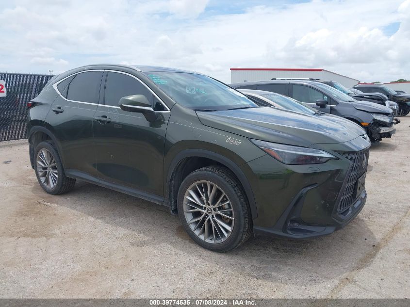 2023 LEXUS NX 350 LUXURY