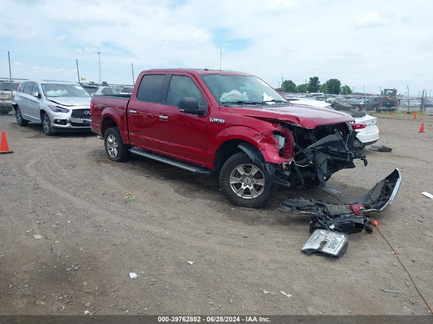 2016 FORD F-150 XLT