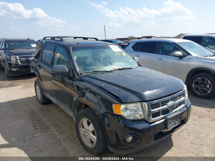 2010 FORD ESCAPE XLT