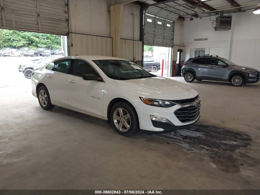 2019 CHEVROLET MALIBU 1FL