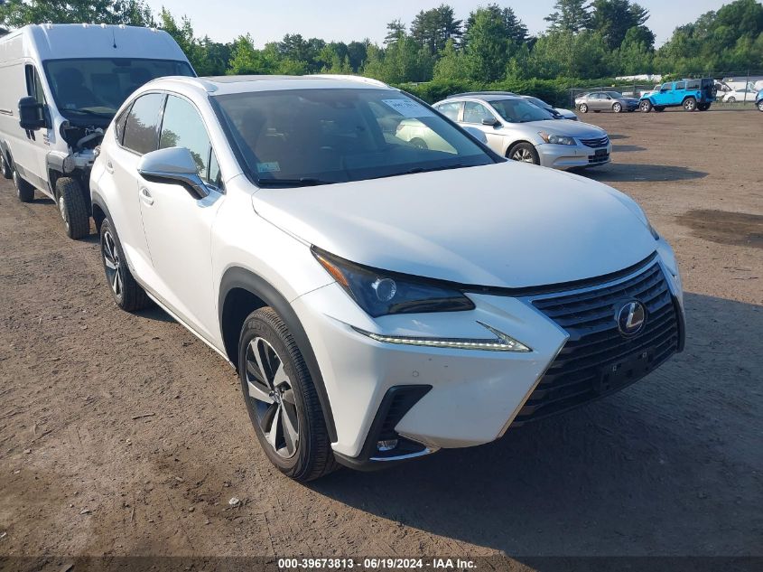 2021 LEXUS NX 300H 300H BASE/300H LUXURY/300