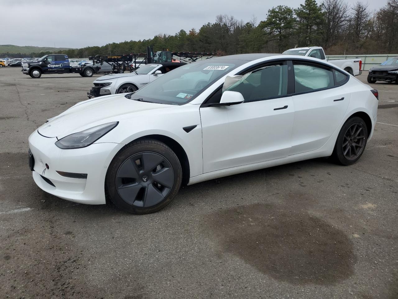 2021 TESLA MODEL 3