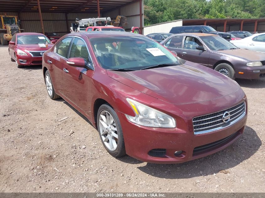 2010 NISSAN MAXIMA 3.5 SV