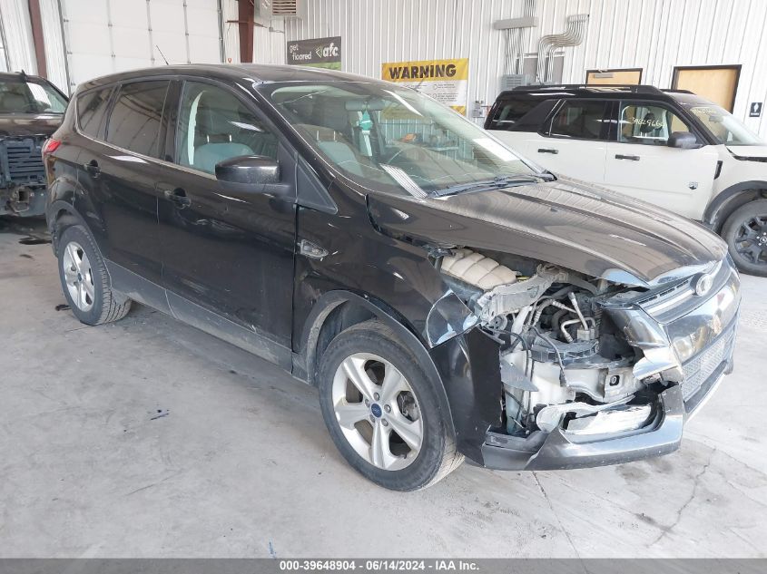 2013 FORD ESCAPE SE