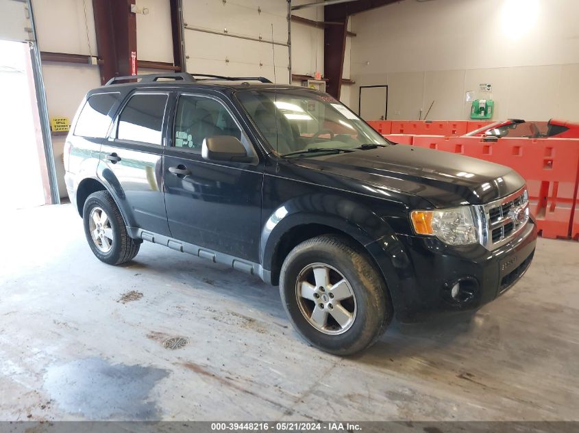 2012 FORD ESCAPE XLT