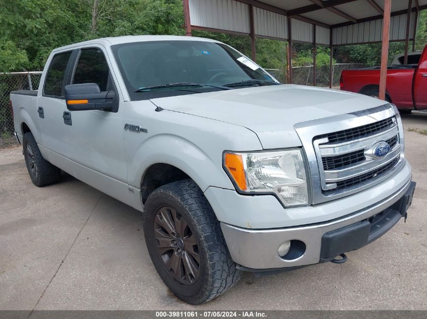 2014 FORD F-150 XLT