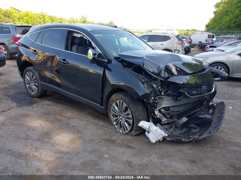 2023 TOYOTA VENZA XLE