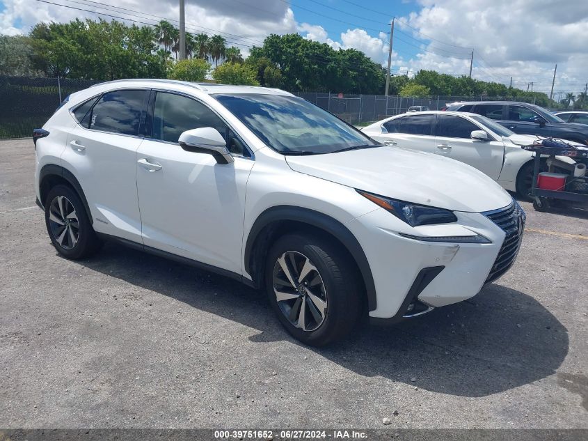 2019 LEXUS NX 300H