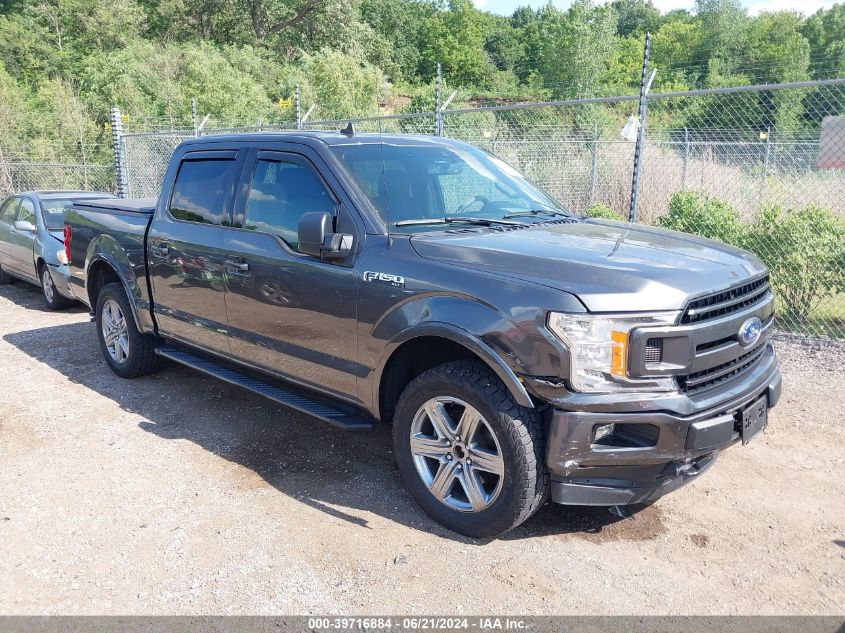 2019 FORD F-150 XLT