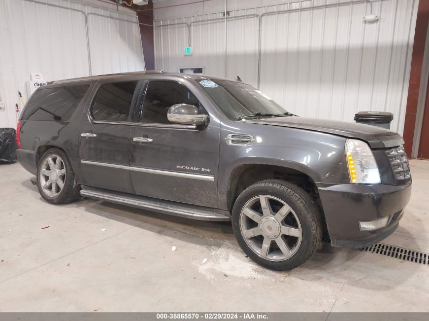 2011 CADILLAC ESCALADE ESV LUXURY