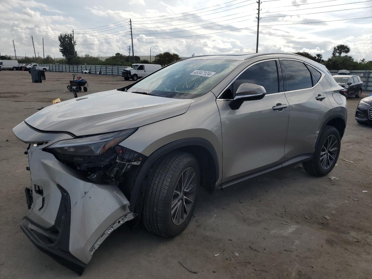 2024 LEXUS NX 250 BASE