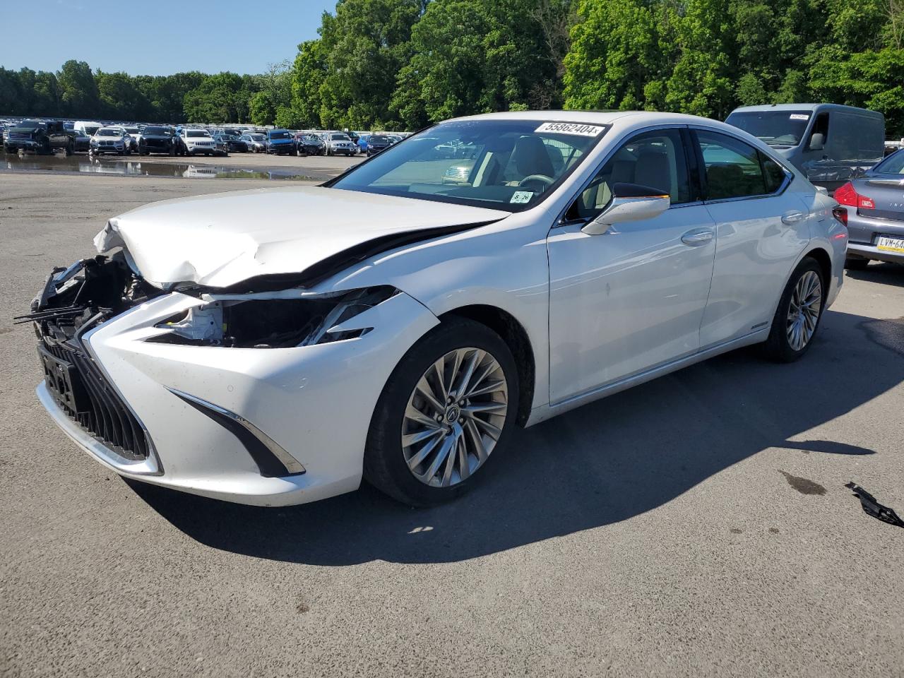 2021 LEXUS ES 300H LUXURY