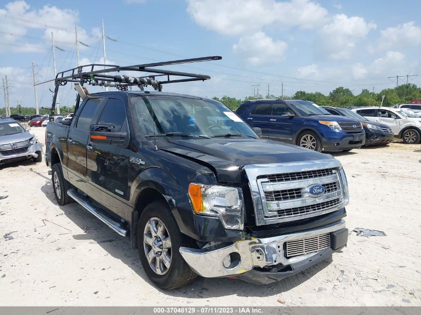 2013 FORD F-150 XLT