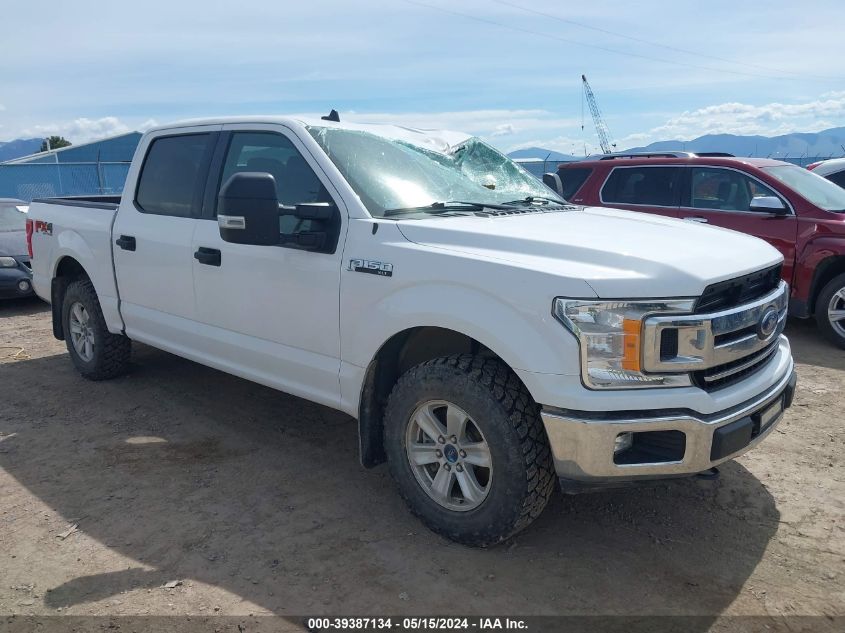 2019 FORD F-150 XLT