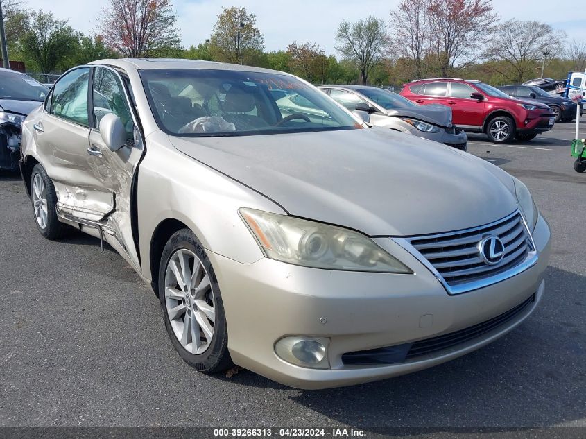 2010 LEXUS ES 350