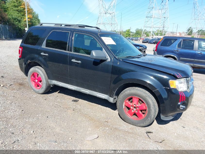 2010 FORD ESCAPE XLT