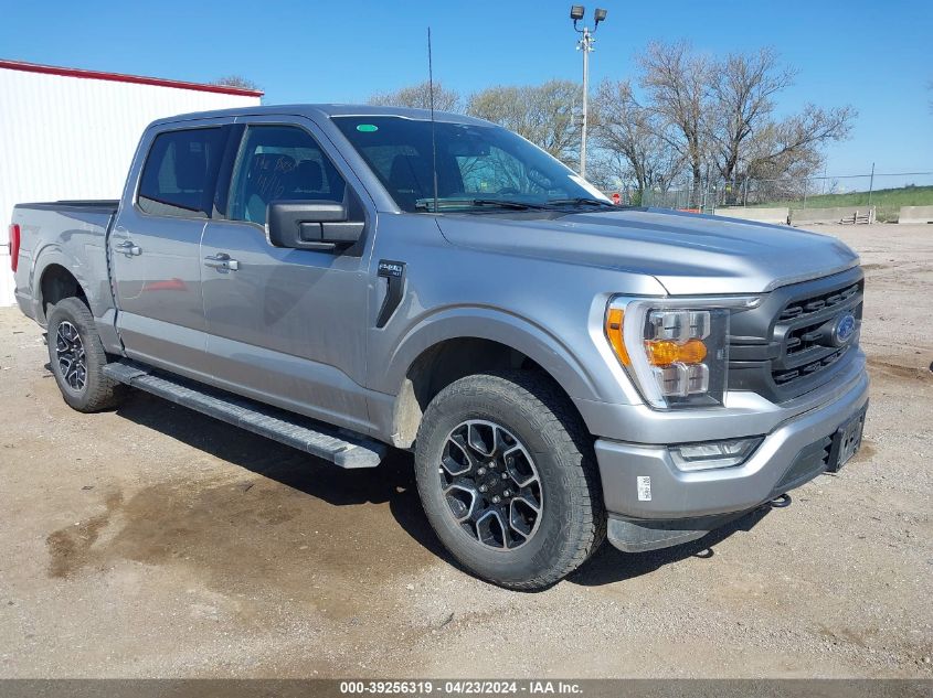 2023 FORD F-150 XLT