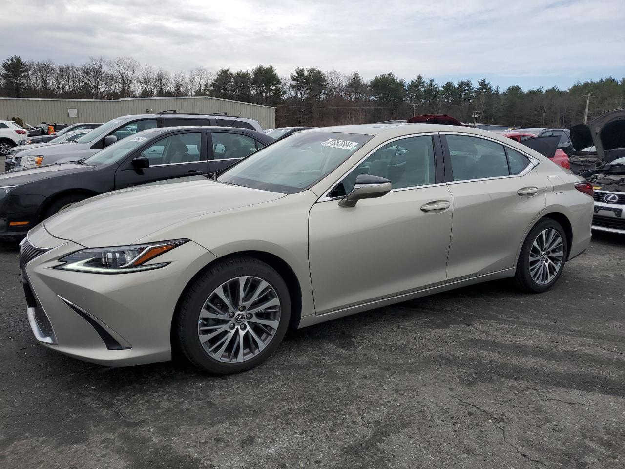 2019 LEXUS ES 350