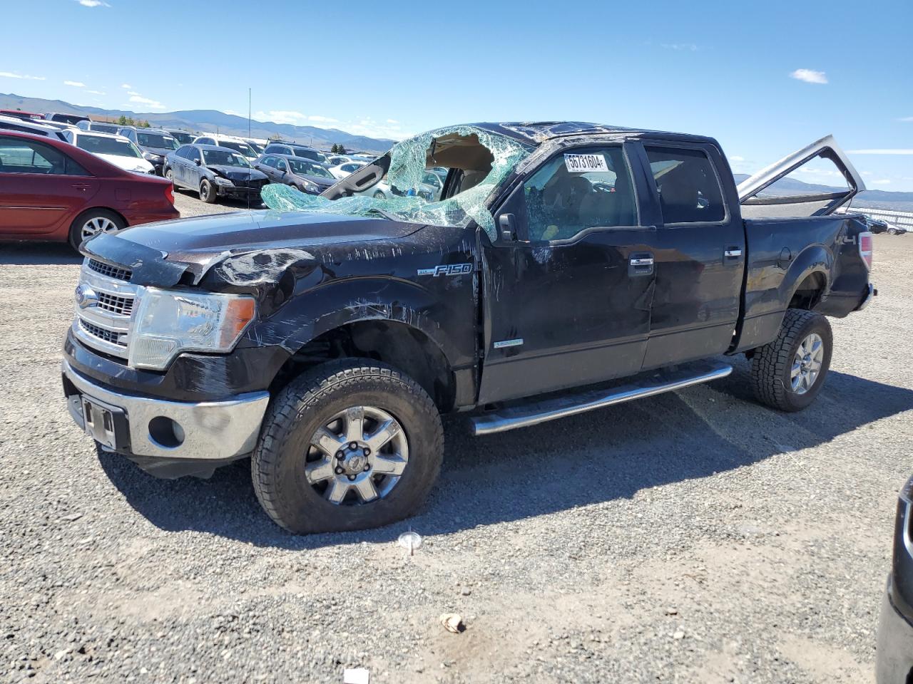 2014 FORD F150 SUPERCREW