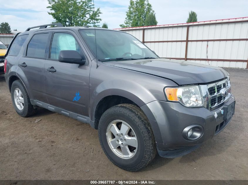 2012 FORD ESCAPE XLT