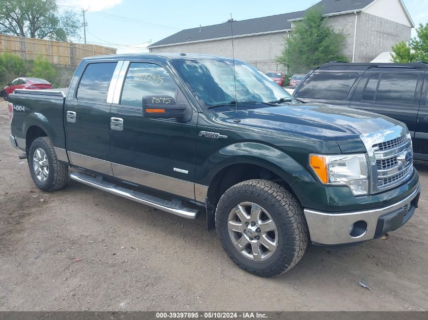 2013 FORD F-150 XLT